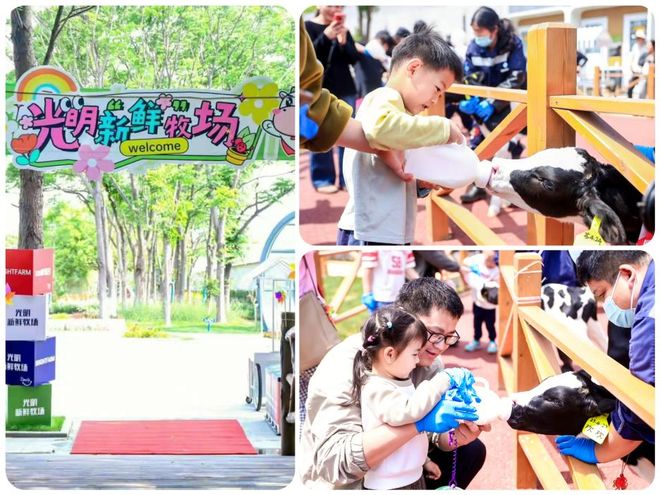 乳业以鲜活力量开启2026新征程MG不朽情缘跃马迎新一路光明光明(图17)